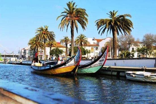 Rota Ria Alojamento Local Aveiro Ngoại thất bức ảnh